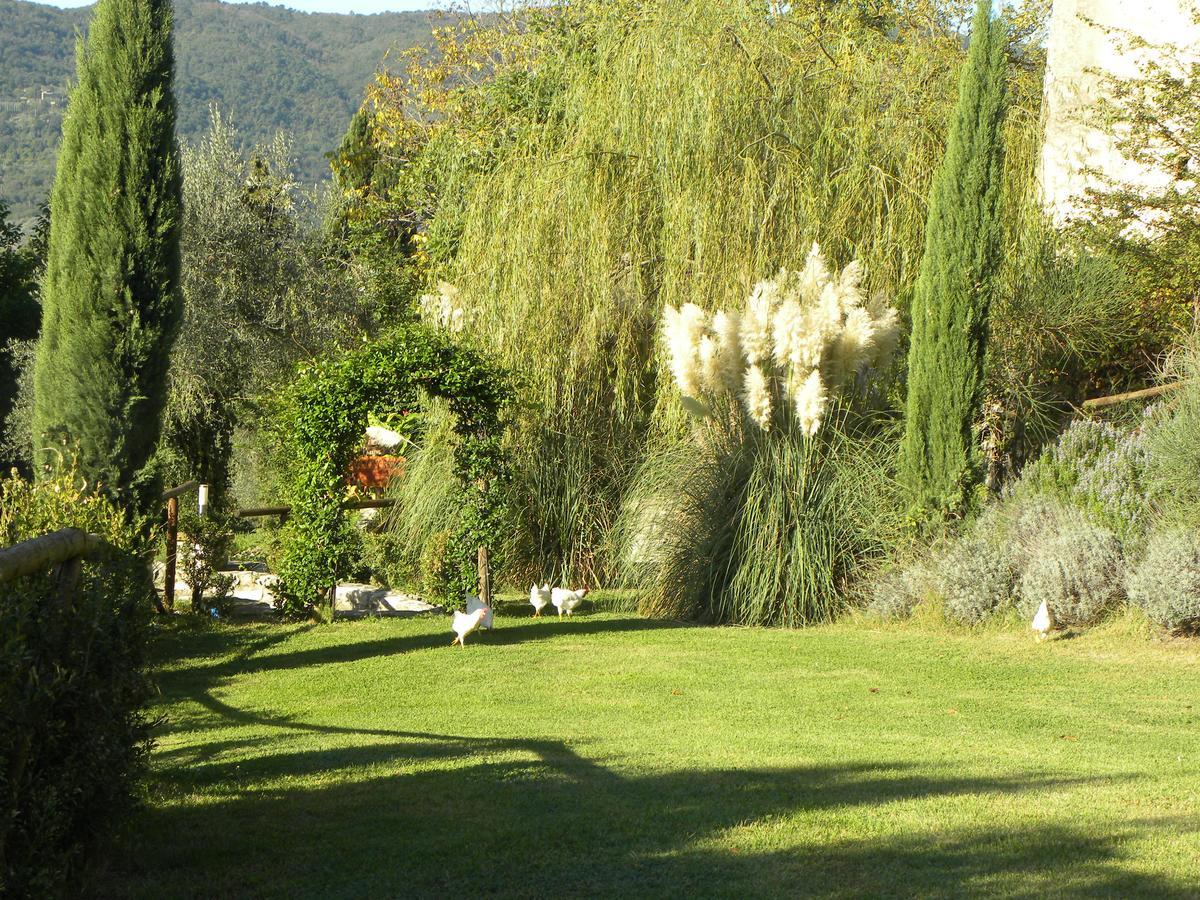 Country Resort Il Frassine Rignano Sull Arno Ngoại thất bức ảnh